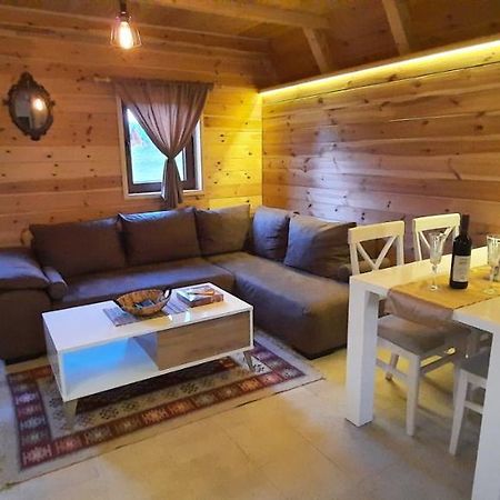 Villa Mountain House Bjanka Žabljak Esterno foto