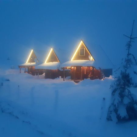 Villa Mountain House Bjanka Žabljak Esterno foto