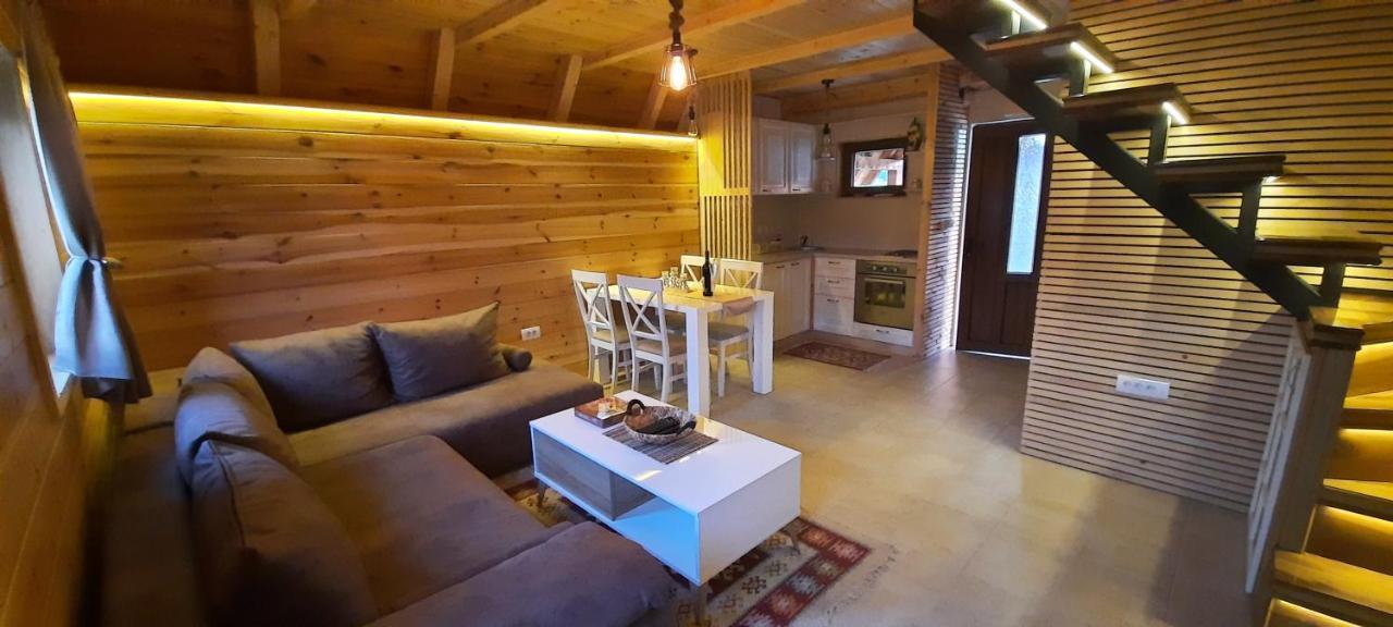 Villa Mountain House Bjanka Žabljak Esterno foto